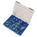Sealey HCJ85AC HI-GRIP® Zinc Plated Hose Clip Assortment 9.5-55mm 81pc